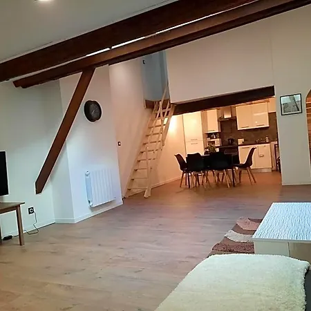 Les Charmes De Trevoux 2* Massieux